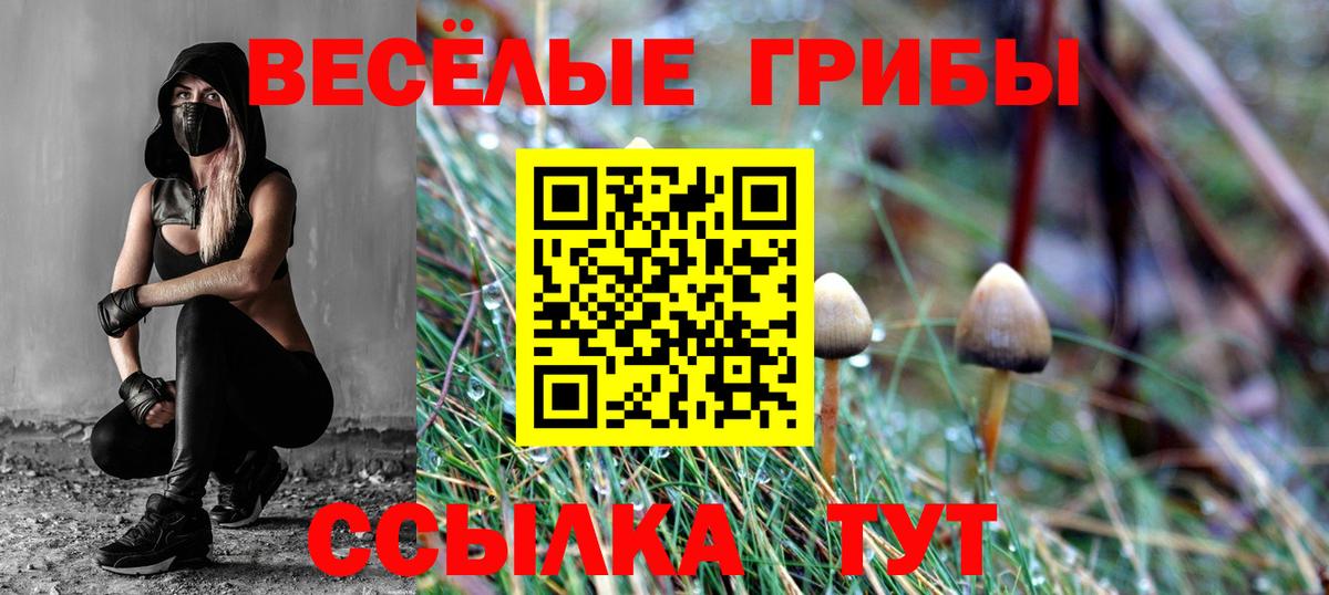 Псилоцибиновые грибы мицелий  Вход с VPN  Комсомольск-на-Амуре 