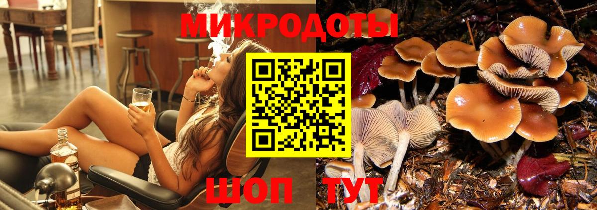 Галлюциногенные грибы Psilocybine cubensis Комсомольск-на-Амуре